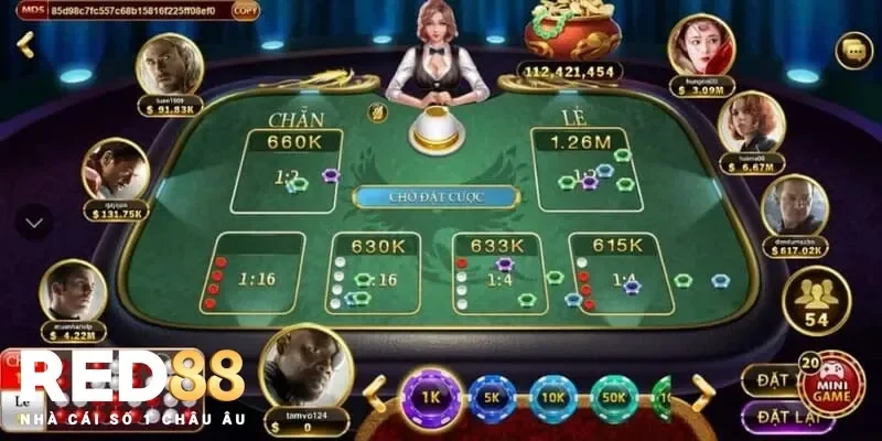 Luyện tập game bài xóc đĩa nhiều hơn để trở thành người bản lĩnh